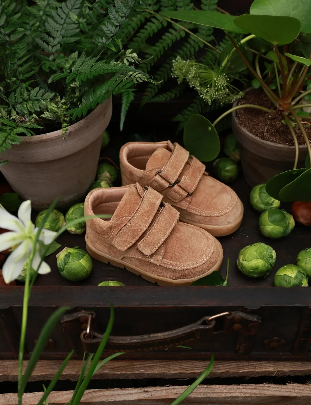 Chubby Cruiser velcro - Sahara Suede