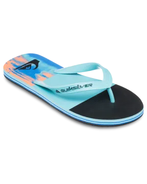 Molokai Stripe 25 Flip Flops in Nebulas Blue Bloomfade