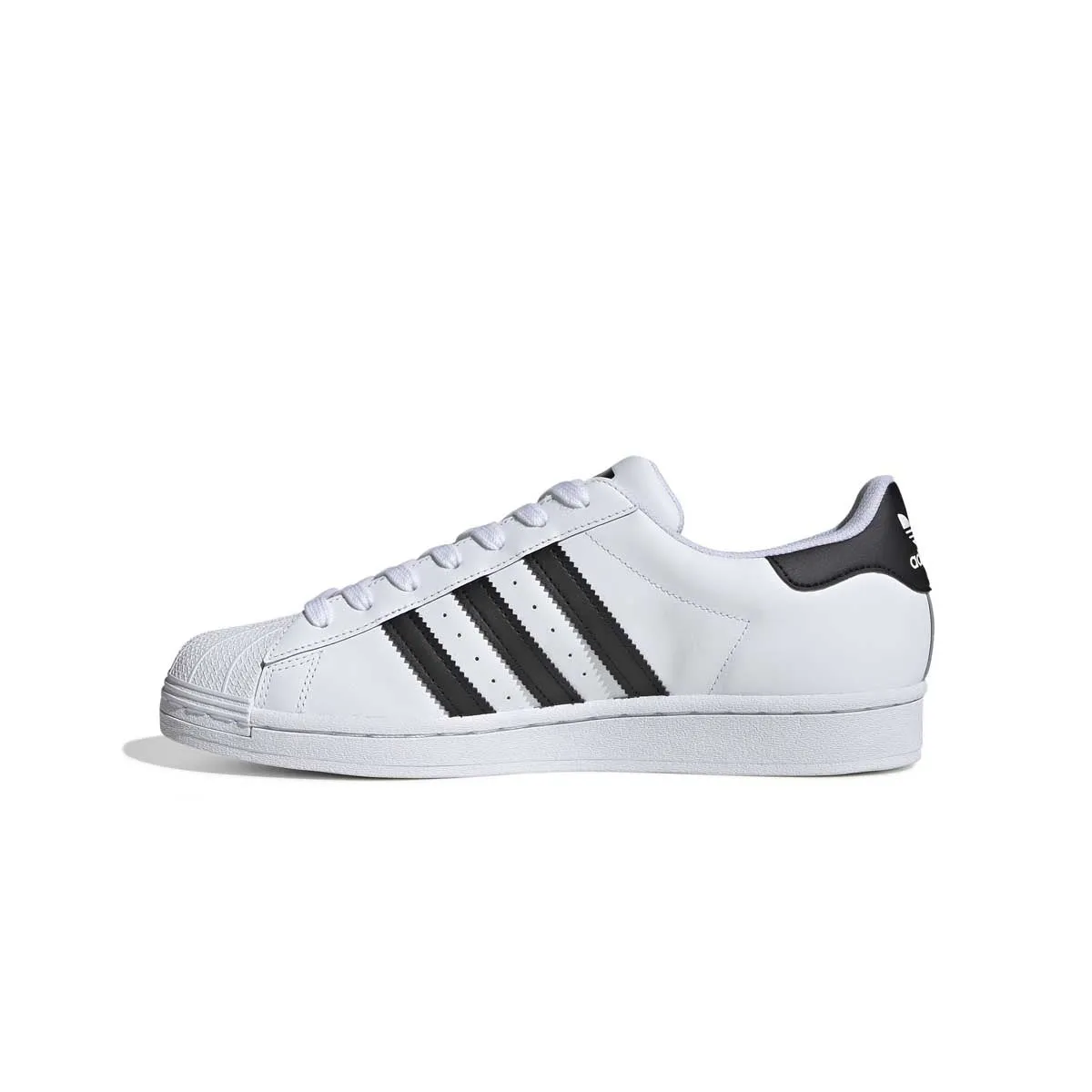 Superstar 'White'